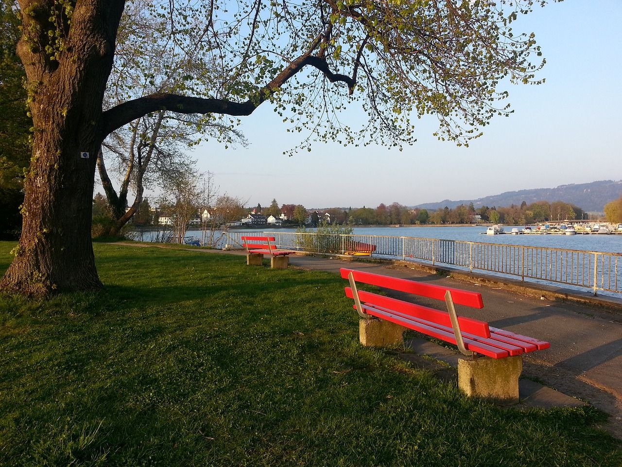 全球球迷的 全球球迷的