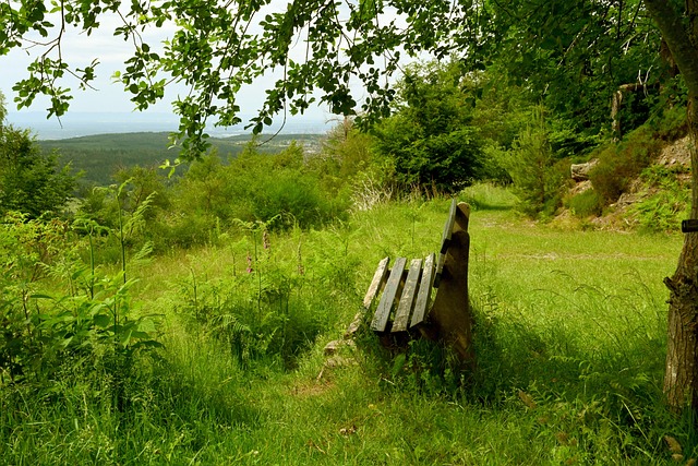 往往通过压 往往通过压